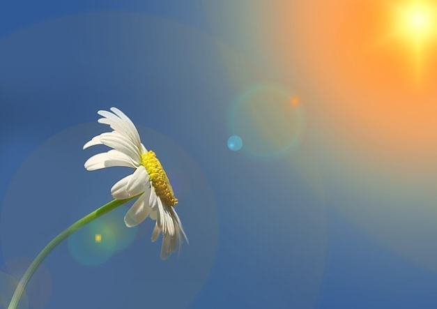 bilan de compétences