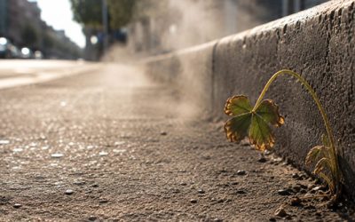 Canicule au travail : quand la chaleur fait déborder la charge mentale